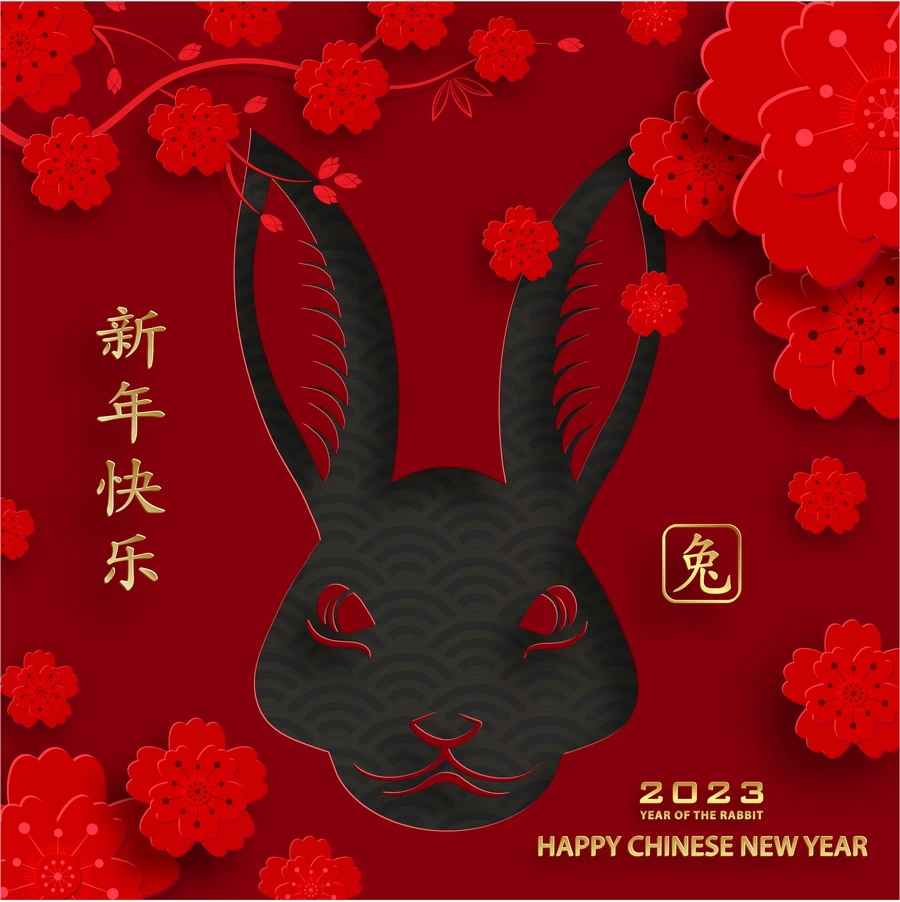 2023兔年中国风新年春节剪纸风节日宣传插画海报背景展板AI素材【290】
